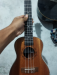 Ukulele yamaha uk24-40